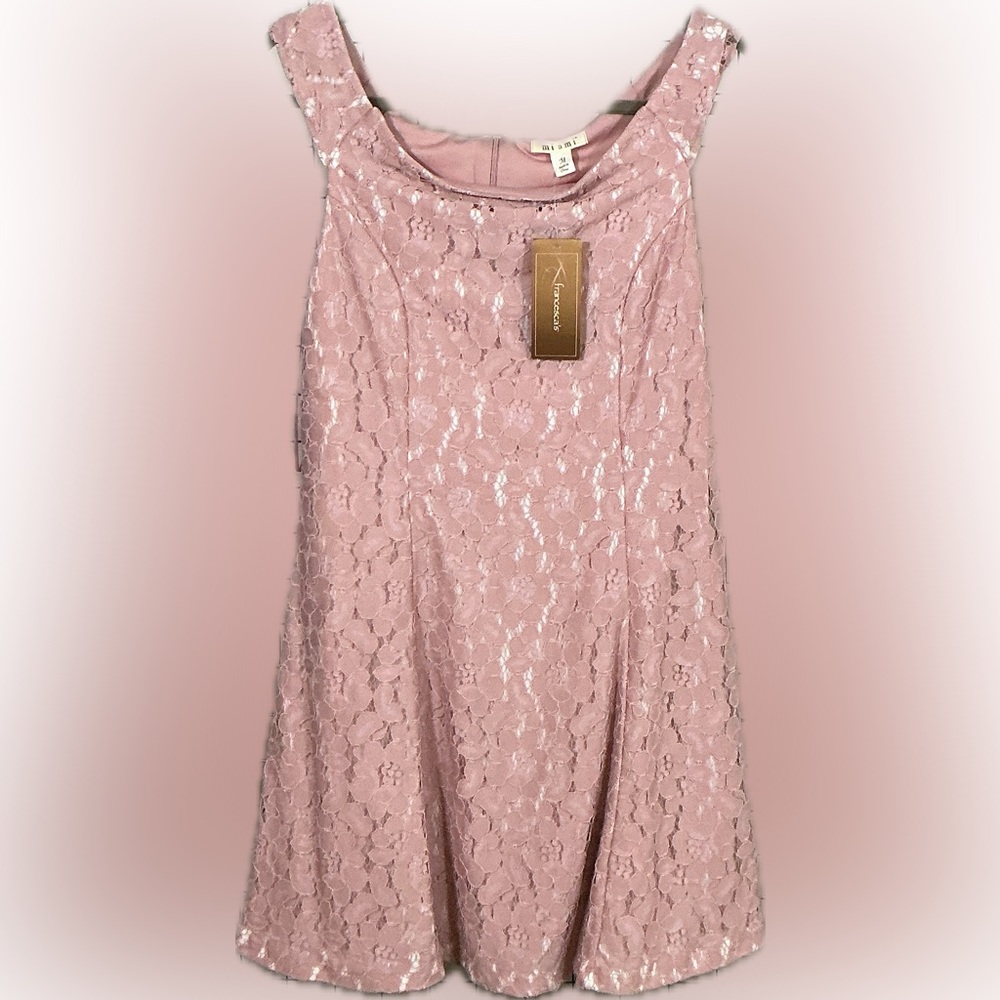 Francesca’s Dusty Rose Lace Fit & Flare Dress NWT Medium